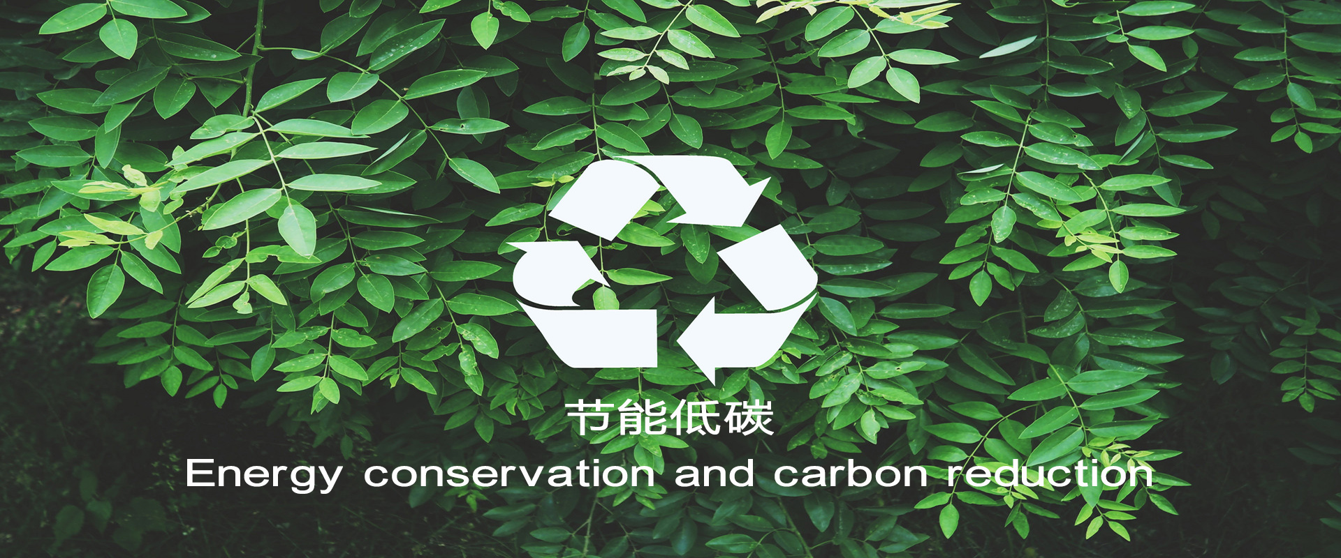 永信贵宾会217·(中国区)官网